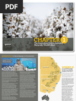 Pima Cotton