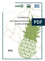 PLAN-DE-NEGOCIOS-PARA-LA-PRODUCCION-Y-COMERCIALIZACION-DE-PINA-EN-EL-OCCIDENTE-DE-HONDURAS.pdf