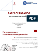 Pares Craneales