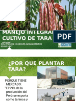 Cultivo de Tara en Tacna