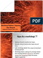 Morfologi Bakteri, Kapang Dan Khamir: Agnescia Clarissa Sera, S.GZ