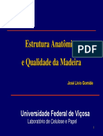 Arquivo 02 - Anatômia e Qualidade e Da Madeira-Agosto2007