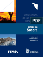 1._Identificaci_n_de_los_clusters_estrategicos._Sonora (1).pdf