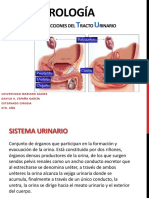 UROLOGÍA