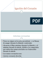 1.5.1 IRRIGACION DEL CORAZON.pptx