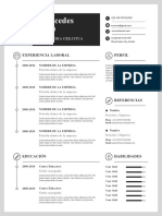 Tradicional y Elegante CV