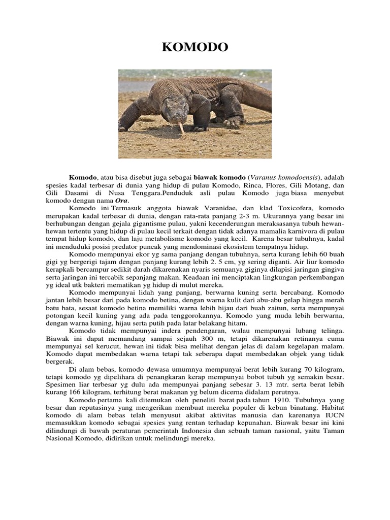 Contoh Teks Laporan Hasil Observasi Hewan Komodo