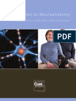 acp-neuroanat(2)