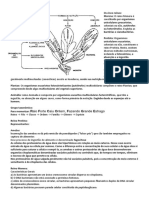 Zoologia