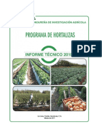 Informe Tecnico Hortalizas2010 PDF