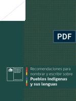 Guia Recomendaciones Pueblos Indigenas