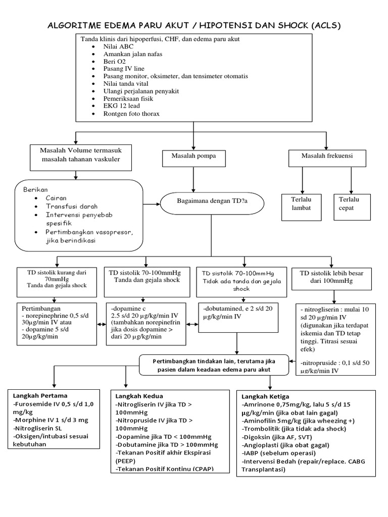 Algoritme Edema Paru Akut & Hipotensi | PDF