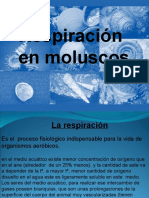 Respiracion en Moluscos.