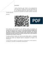 45191_179813_Guía de Caracterización y Descripción.doc