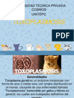 Toxoplasmosois Infecto Segun Parcial1