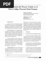 La Estructura Del Proceso Comun en El Nuevo Codigo Procesal Penal