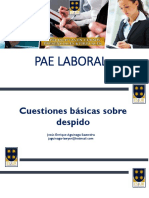 PAE LABORAL - Adicional - Despido.pptx