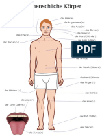 Menschlicher Körper