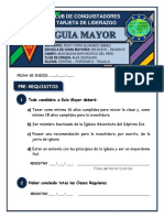 TARJETA AUXILIAR DE GUIAS MAYORES - WILDCATS.pdf
