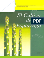 MANUAL DE ESPARRAGO.pdf