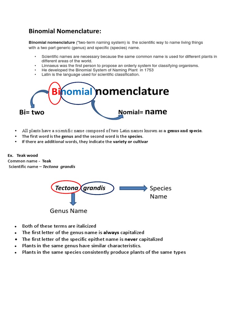 Binomial Nomenclature | PDF | Genus | Biological Classification Binomial Nomenclature | PDF | Genus | Biological Classification