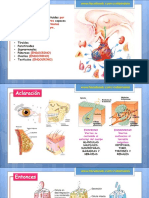 ENDOCRINO.pptx