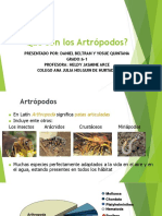 Los Artrópodos