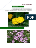 2014 Catalogo de Plantas Perennes Disponibles