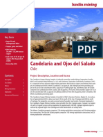 Summary Report Candelaria