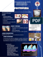 Banner Proteinuria