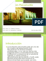 Excitación Psicomotriz PDF