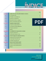 Indice PDF