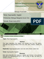 organografia_vegetal.pdf