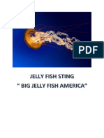 Jelly Fish Sting