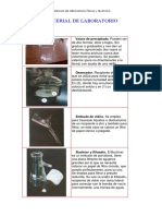 MATERIAL_DE_LABORATORIO CIN.pdf