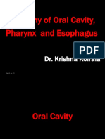 Anatomy of Oral Cavity, Pharynx and Esophagus