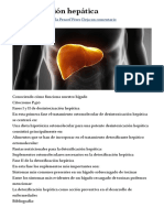 Detoxificación Hepática - Bionutrición Ortomolecular