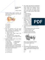 Evaluasi