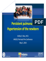 pphn.pdf