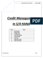 Credit Management FSCM 1 PDF