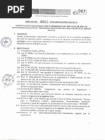 Directiva Educación Inicial n 007