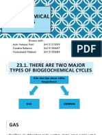 Biogeochemical Cycles New