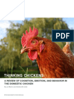 Thinking Chickens:: A Review of Cognition, Emotion, and Behavior in The Domestic Chicken