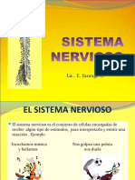 SISTEMA NERVIOSO PPT.pdf