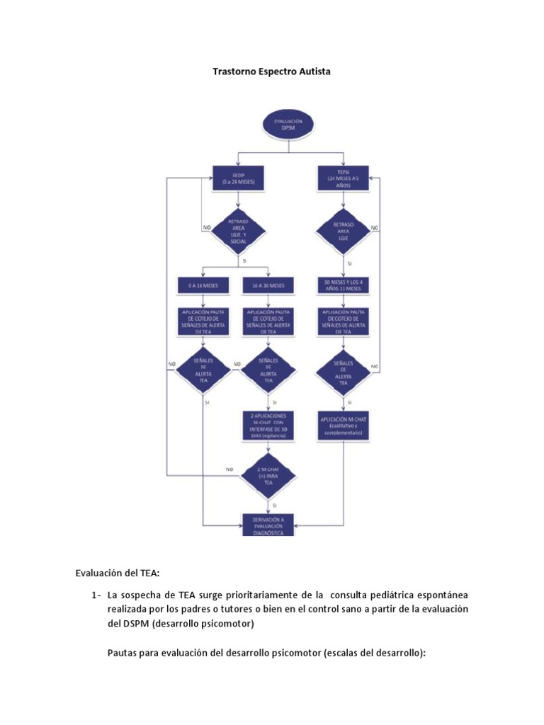 Trastorno Espectro Autista | PDF | Espectro autista | Autismo