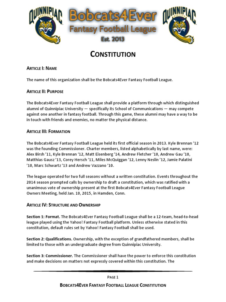 B4EFFL Constitution PDF Constitutional Amendment Veto