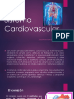 Sistema Cardiovascular DIAPOSITIVA - JHONATAN BUS