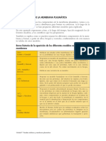 Membrana Plasmatica PDF