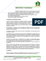 Informe de Riesgo y Vulnerabilidad