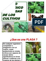 3-manejoecologicodeplagas-100103181848-phpapp01.ppt